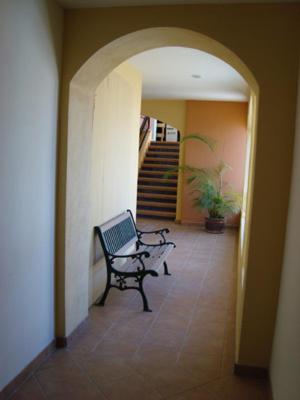 Hotel Colli San José del Cabo Eksteriør billede